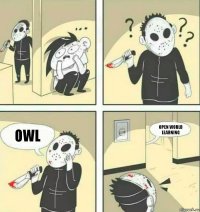 OWL Open world learning