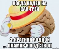 когда надел на сай-грей 3-кратник родной пламик и подствол