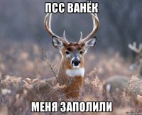 псс ванёк меня заполили