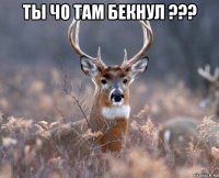 ты чо там бекнул ??? 