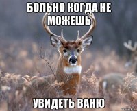 больно когда не можешь увидеть ваню