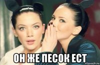  он же песок ест