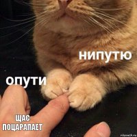  Щас поцарапает