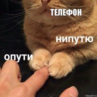 телефон 