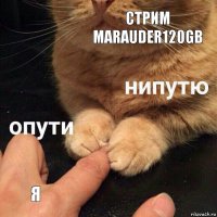 Стрим marauder120GB Я