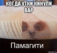 когда утки кинули вар 