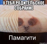 у тебя родительское собрание 