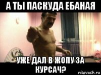 а ты паскуда ебаная уже дал в жопу за курсач?