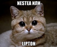 nestea или lipton