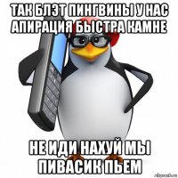 так блэт пингвины у нас апирация быстра камне не иди нахуй мы пивасик пьем