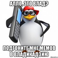 алло, это влад? подгоните мне мемов в владикадзию