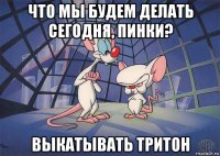 что мы будем делать сегодня, пинки? выкатывать тритон