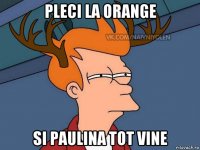 pleci la orange si paulina tot vine