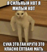 я сильный кот я милый кот сука это так круто это класно ёптваю мать