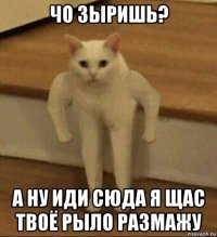 чо зыришь? а ну иди сюда я щас твоё рыло размажу