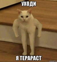 уходи я терараст