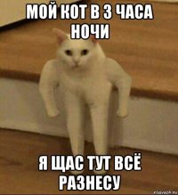 мой кот в 3 часа ночи я щас тут всё разнесу