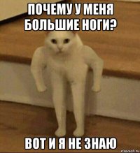 почему у меня большие ноги? вот и я не знаю