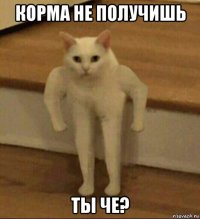 корма не получишь ты че?