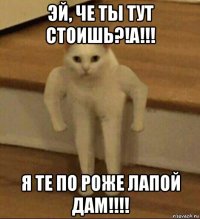 эй, че ты тут стоишь?!а!!! я те по роже лапой дам!!!!