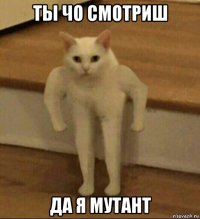 ты чо смотриш да я мутант