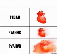 Ревал Руанис РУАНУС