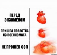 Перед экзаменом Пришла повестка из военкомата Не прошёл СОП