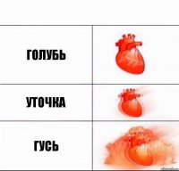 Голубь Уточка Гусь