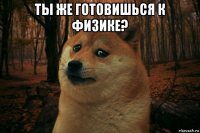 ты же готовишься к физике? 