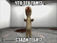 что это там!? сзади тебя!?