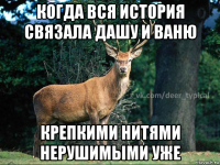 когда вся история связала дашу и ваню крепкими нитями нерушимыми уже