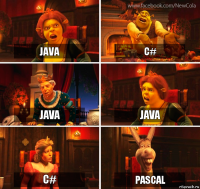 java c# java java c# Pascal