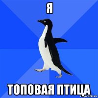 я топовая птица