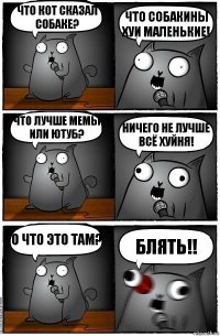 что кот сказал собаке? что собакины хуи маленькие! что лучше мемы или ютуб? ничего не лучше всё хуйня! о что это там? блять!!