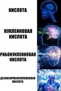 Кислота Нуклеиновая кислота Рибонуклеиновая кислота Дезоксирибонуклеиновая кислота