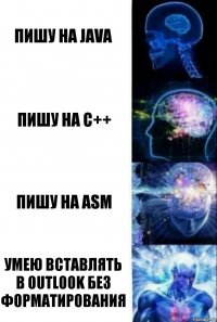 Пишу на Java Пишу на C++ Пишу на ASM Умею вставлять в outlook без форматирования