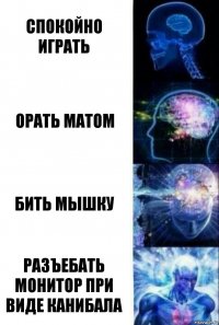 спокойно играть орать матом бить мышку разъебать монитор при виде канибала