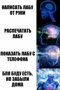 Написать Лабу от руки Распечатать лабу Показать Лабу с телефона Бля буду есть, но забыли дома