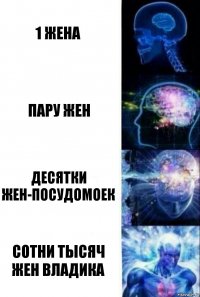 1 жена Пару жен Десятки жен-посудомоек СОТНИ ТЫСЯЧ ЖЕН ВЛАДИКА