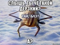 слышь, ты чё такой дерзкий? а?