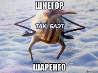 шнегор шаренго