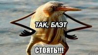  стоять!!!