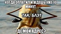 когда оплатил и ждёшь уже 10 минут где мой адрес?