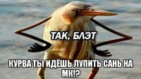  курва ты идёшь лупить сань на мк!?