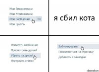 я сбил кота