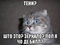 тени? што это? зеркало? лол я чо де билл?