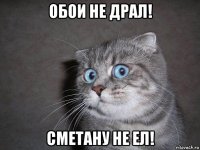 обои не драл! сметану не ел!