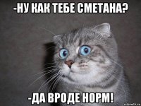 -ну как тебе сметана? -да вроде норм!