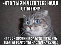 -kто ты? и чего тебе надо от меня? -я твой хозяин и за буду пиздить тебя за то,что ты настал на кухне!