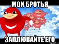 мои бротья заплювайте его